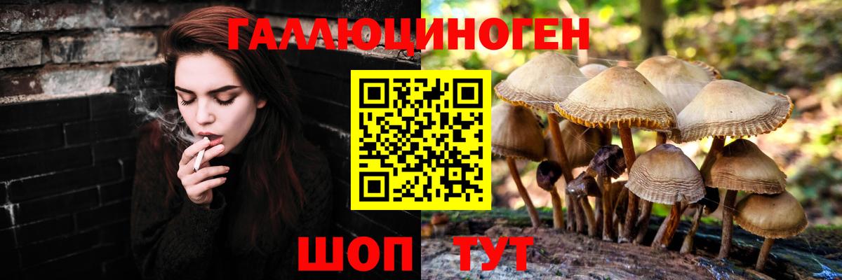 Златоуст  Псилоцибиновые грибы MAGIC MUSHROOMS  Вход с VPN 